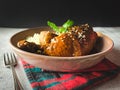 Mole Poblano with Chicken and rice is Mexican Food in Puebla Mexico Royalty Free Stock Photo