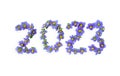 2023 made from small purple flowers. Persian violet\'s in full bloom on white background with clipping path.