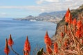 Madeira coast, Funchal