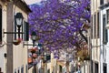 Madeira Funchal