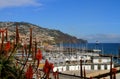 Madeira, Funchal: Cityscape, Harbor, Red Aloe Flowers