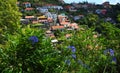 Madeira Hillside village view from levada walk with Agapanthus flowers.
