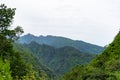 Madeira holiday summer trip vacation tourism mountains sunny day green trees landscape Royalty Free Stock Photo