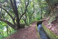 Madeira island beautiful nature landscape, footpath trail in mountains and forest