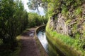 Madeira island beautiful nature landscape, footpath trail in mountains and forest