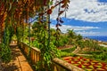 Madeira island, Botanical Garden Monte, Funchal, Portugal Royalty Free Stock Photo