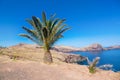 Madeira island ocean and mountains landscape, Calhan, Portugal Royalty Free Stock Photo