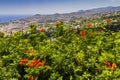 Madeira island Portugal typical landscape, Funchal city panorama view from botanical garden, wide angle Royalty Free Stock Photo