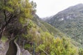 Madeira Levada