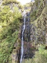 Madeira is the oldest resort in Europe. This is a mountainous region of eternal spring, drowning in flowers, covered with green