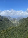 Madeira is the oldest resort in Europe. This is a mountainous region of eternal spring, drowning in flowers, covered with green