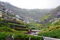 Madeira Royalty Free Stock Photo