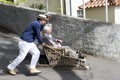 Madeira sledge with toboggan