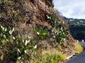 South East area of Madeira where the  Mountains meet thesea Royalty Free Stock Photo