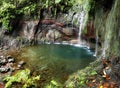 Madeira waterfall - 25 Fontes or 25 Springs in English. Rabacal - Paul da Serra. Access is possible via the Levada das 25 Fontes