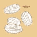 Madeleine de Commercy / Famous French pastry