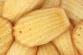 Madeleines Royalty Free Stock Photo