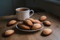 Madeleines arranged on kitchen table, delicate French pastries showcased