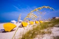 Madiera Beach and sea oats in Florida Royalty Free Stock Photo