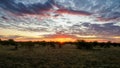 Sunrise in Madikwe Game Reserve, South Africa