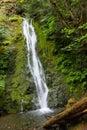 Madison falls, Olympic National Park