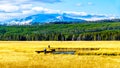 The Madison River as it winds its way through the Grasslands in Yellowstone National Park in Wyoming, USA Royalty Free Stock Photo