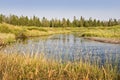 Madison river near West Yellowstone, USA