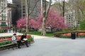 Madison Square Park in Springtime Royalty Free Stock Photo