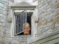 Madman looking out from asylum window