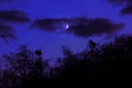 Dark Spooky Creepy Forest Landscape Tower Red Eyes Lamps Moon