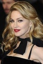 Madonna Royalty Free Stock Photo