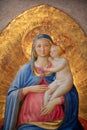 Madonna with Child by Beato Angelico at Uffizi Gallery Royalty Free Stock Photo