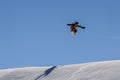 MADONNA DI CAMPIGLIO TN, ITALY, APRIL 9, 2017. Snowboarder enjoying jumps and runs