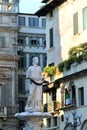 Madonna fountain on Piazza delle Erbe in Verona, Italy Royalty Free Stock Photo