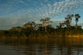 Madre de Dios river in Manu National park with scenery of tropical rain forest in the Peruvian amazonia, wallpaper Royalty Free Stock Photo