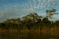 Madre de Dios river in Manu National park with scenery of tropical rain forest in the Peruvian amazonia, wallpaper Royalty Free Stock Photo