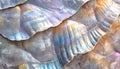 Madreperla: Texture di conchiglie iridescenti Royalty Free Stock Photo