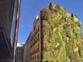 Madrid Green Wall. Madrid's epic vertical garden on the front of CaixaForum. Royalty Free Stock Photo