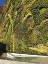 Madrid Green Wall. Madrid's epic vertical garden on the front of CaixaForum. Royalty Free Stock Photo