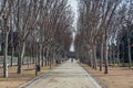 Madrid Rio Park