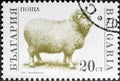 Sheep Ovis aries in stamp