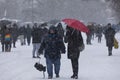 People enjoying a snowy day in the Retiro park, Madrid Royalty Free Stock Photo