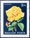 Yellow rose in stamp