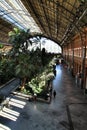 Beautiful Atocha railway station in Madrid