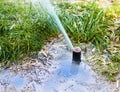 Irrigating a park with reclaimed water