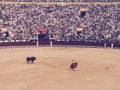 Madrid Spain Las Vendas Bull Fight