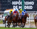Madrid, Spain- March 6, 2022: Jockey on racehorse