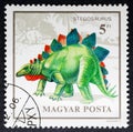 Stegosaurus, a genus of herbivorous thyreophoran dinosaur