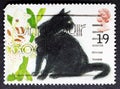 Sophie, black cat, designed by Elizabeth Blackadder