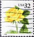 Yellow rose in usa stamp